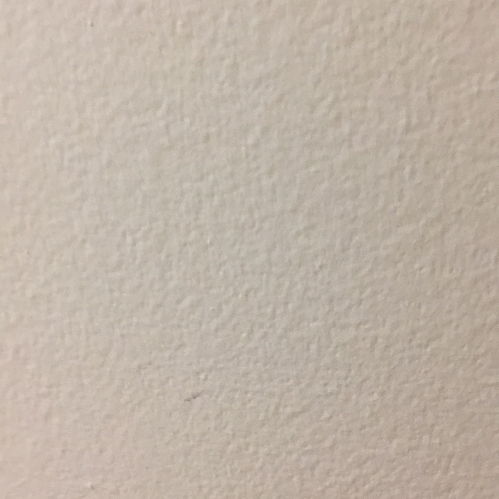 Meet your Posher, Bella